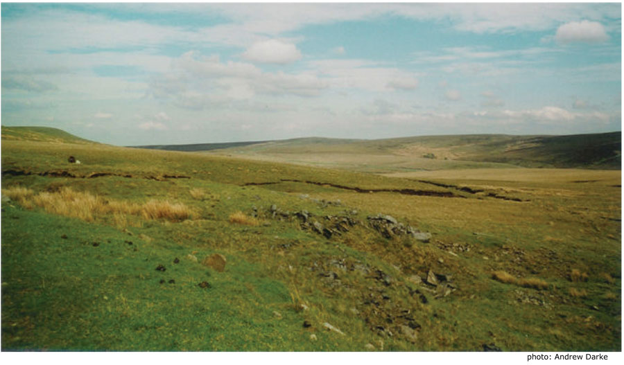 place